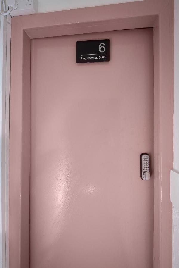 בלקפול Jellyfish Apartments מראה חיצוני תמונה